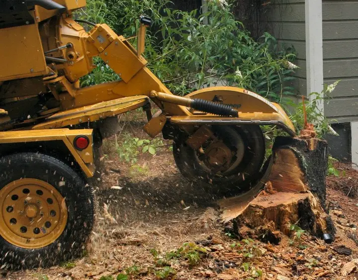 Stump grinder